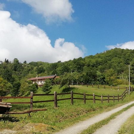 Cinzano La Casa In Collina B&B 외부 사진